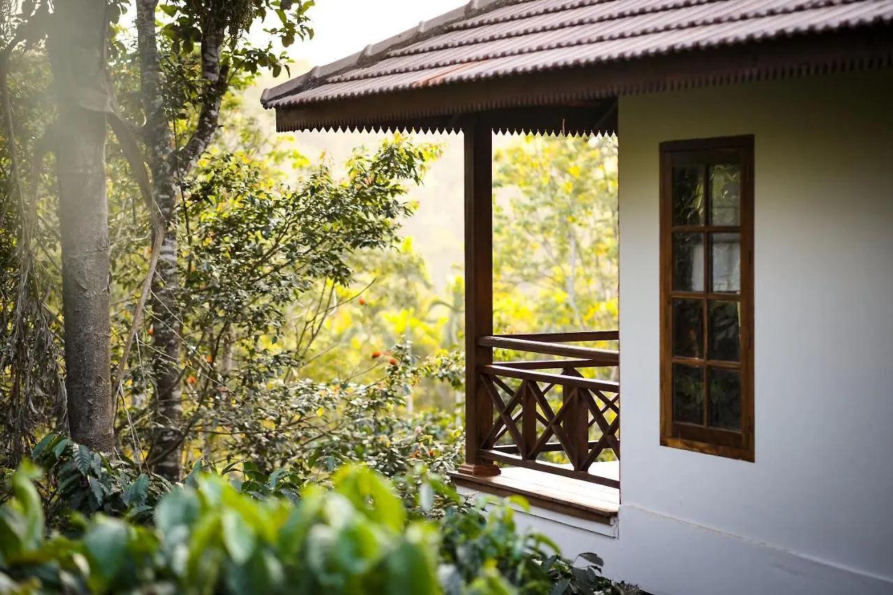 **** Resort Pepper Trail Hotel Sultan Bathery India